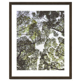 Mother Nature thumbnail