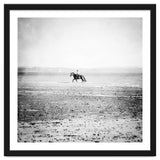 Sea Horse thumbnail