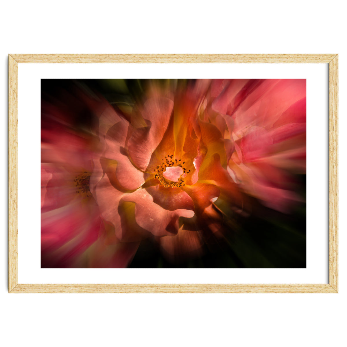 Backyard Flowers No 40 Color Flow Version