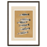 Minimal Fish Study thumbnail