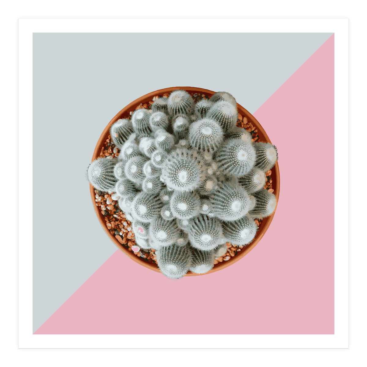 Clementine (Print Only)