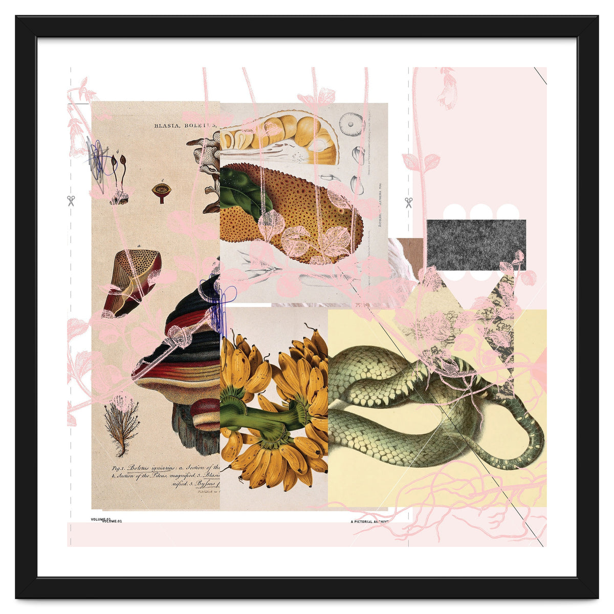 Abstract White Daydream Flower