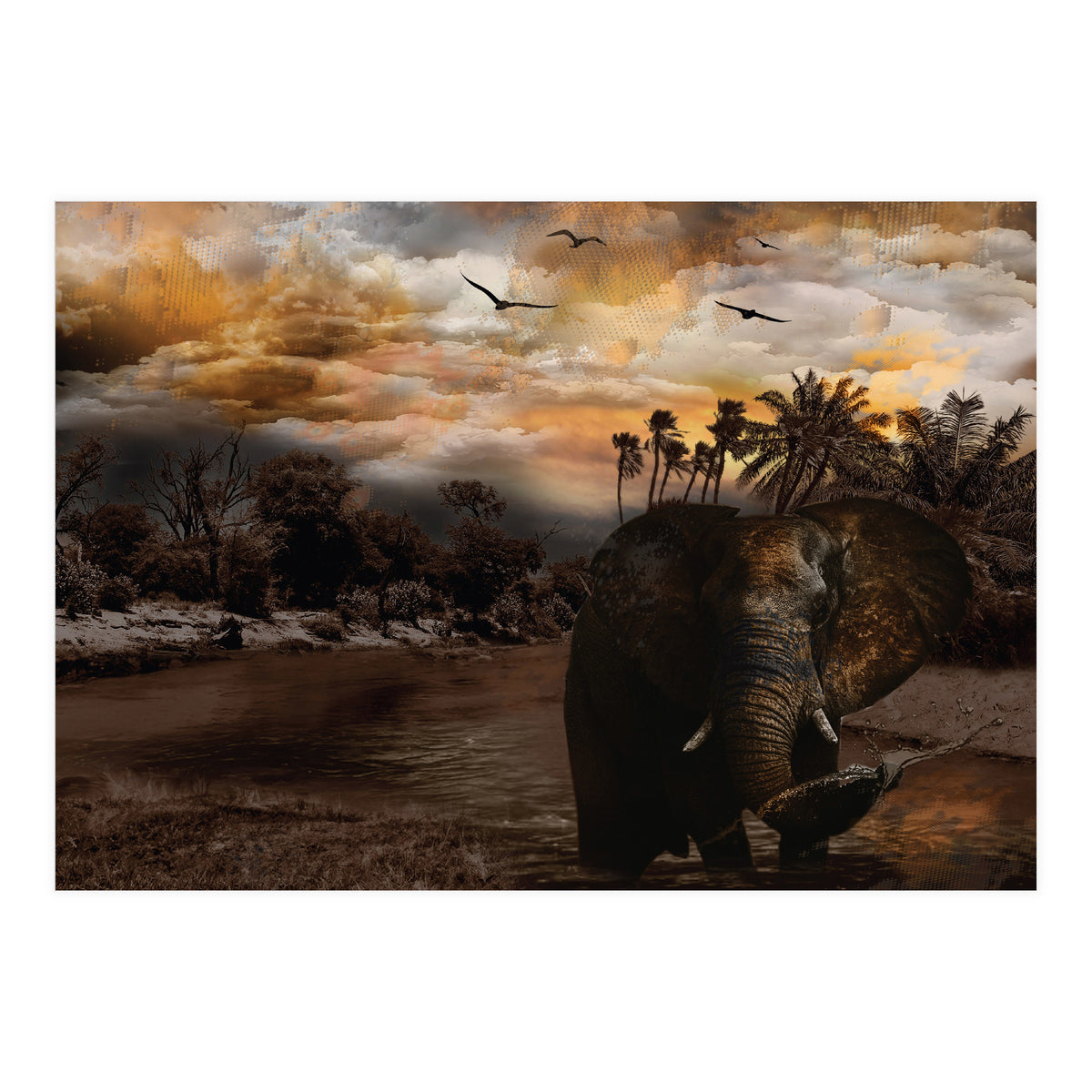 Elephant Scenic Golden Sunset African Wildlife Landscape (Print Only)