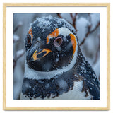 Penguin In Snow Falling Close Up Portrait thumbnail