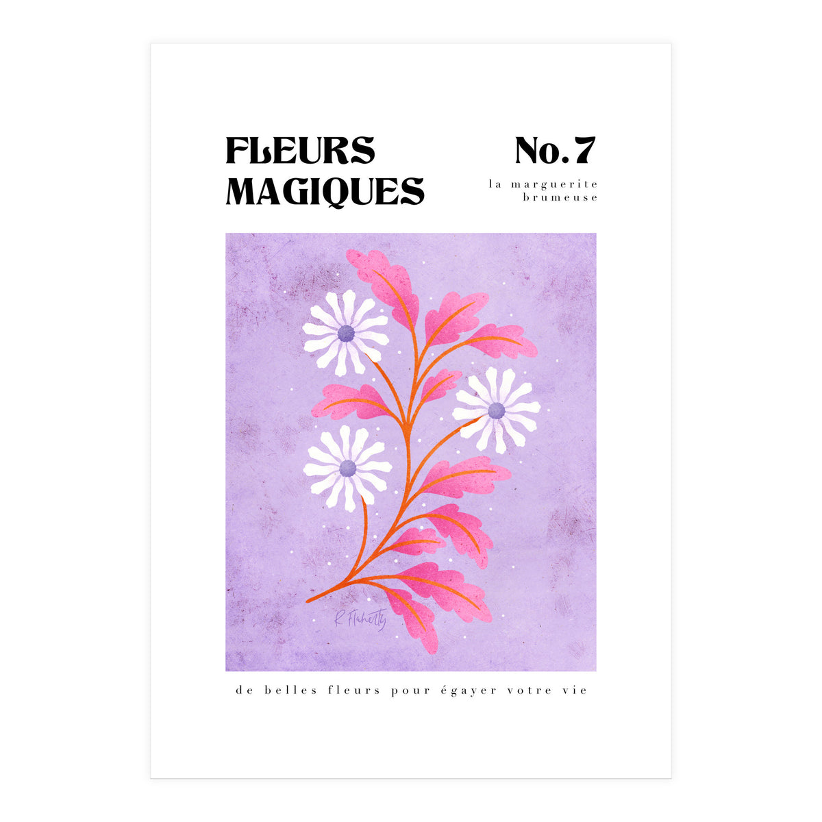 Magical Flowers No.7 Hazy Daisy (Print Only)