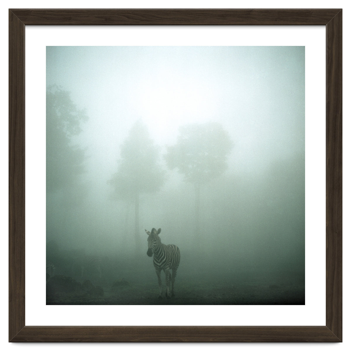 Silence of breath - 01