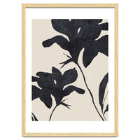 Shadowed Blooms