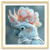 Close Up Of A White Cockatoo With Pink Crest thumbnail