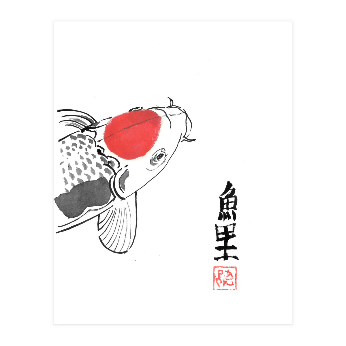 Karp Koi Close Up (Print Only)