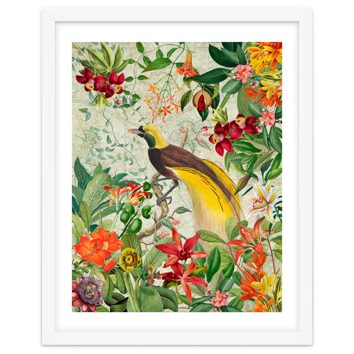 Bird of paradise vintage jungle