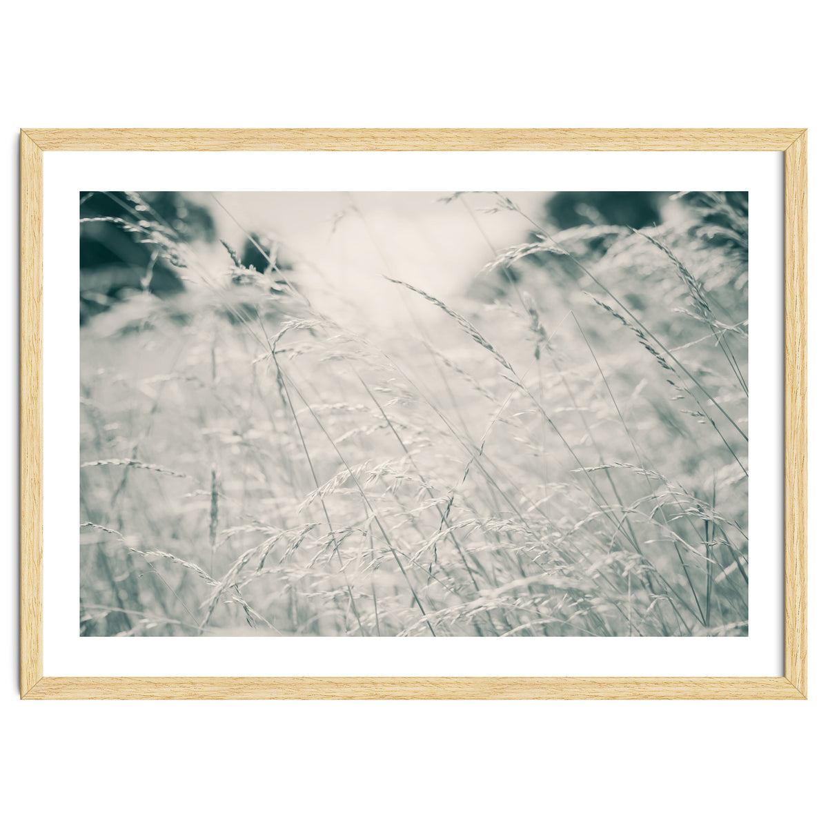Walking Through Long Grass