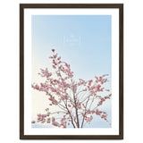 Sakura - cherry blossom thumbnail