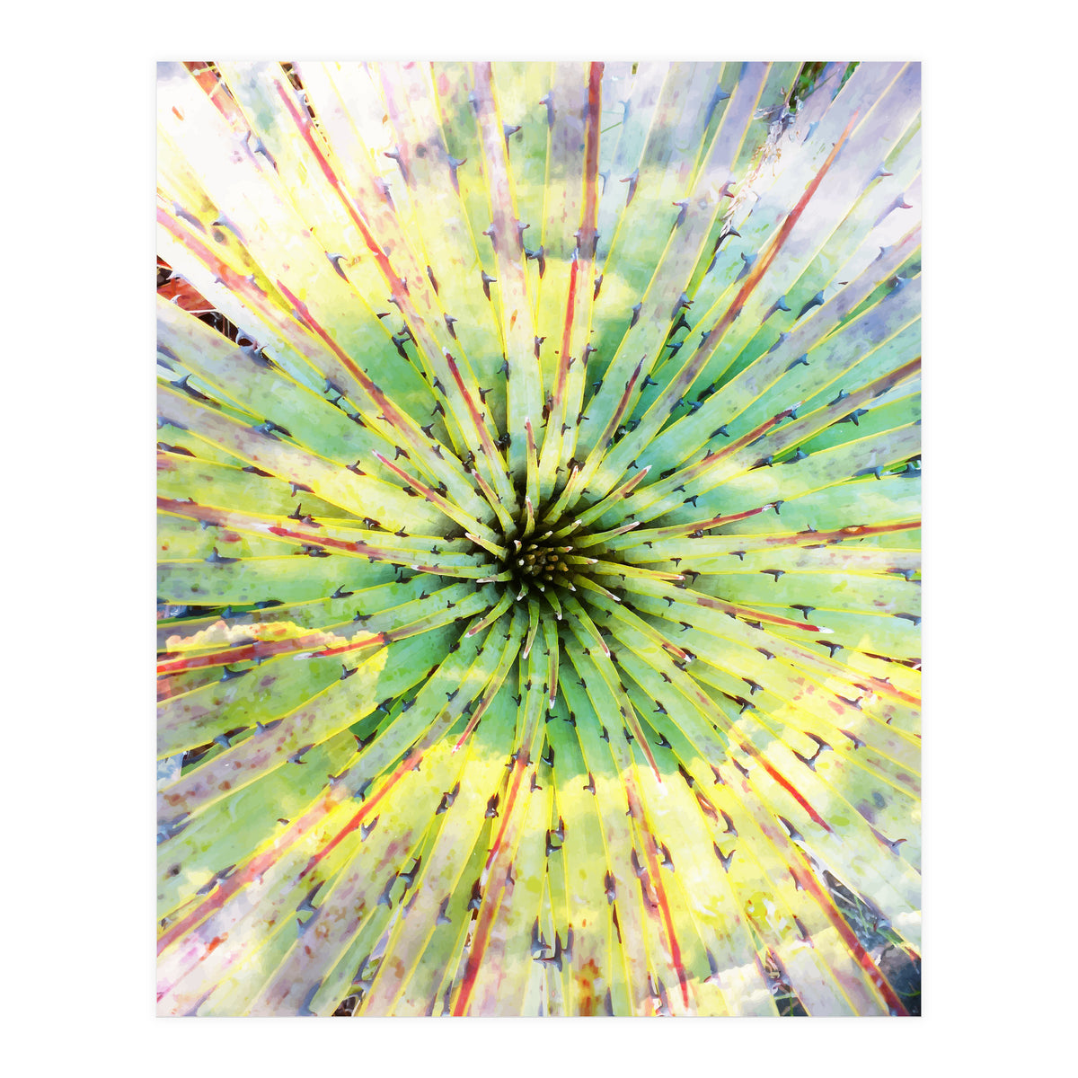 Bitter Sweet (Print Only)