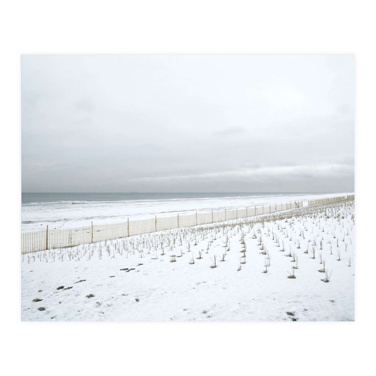 Winter grass in snow beach (Print Only)