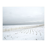 Winter grass in snow beach (Print Only)