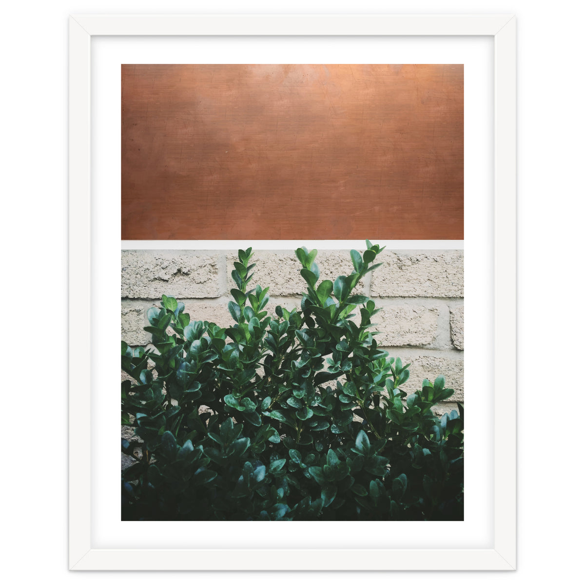Plant + Copper