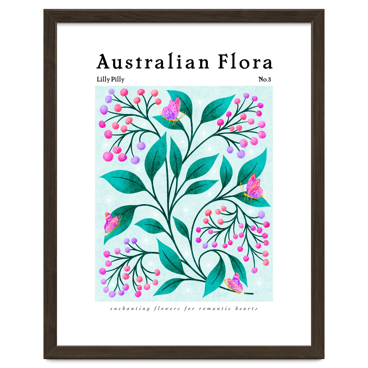 Australian Flora: Lilly Pilly