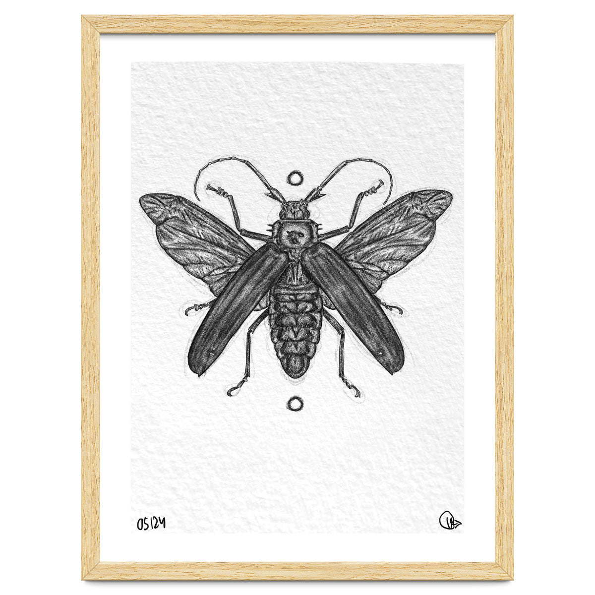 Riesen Longhorn Käfer