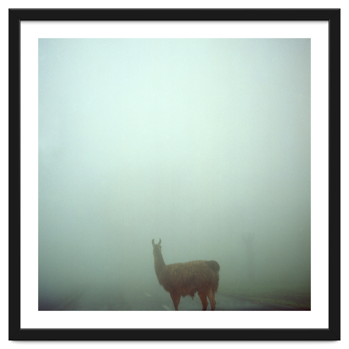 Silence of breath - 04