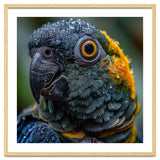 Close Up Of A Wet Macaw Parrot Head thumbnail