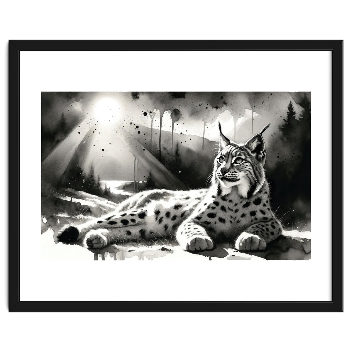 Lynx Resting In Sunlight