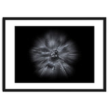 Backyard Flowers In Black And White No 66 Flow Version thumbnail