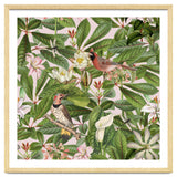 Tropical Bird Garden thumbnail