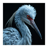 Striking Portrait Of A Blue Heron Bird (Print Only) thumbnail