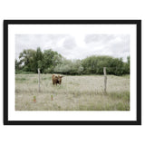 Cow in the farm thumbnail