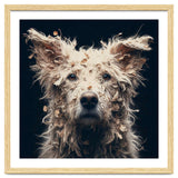 Old Dog 06 thumbnail
