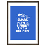 Smart, playful and funny like a dolphin thumbnail