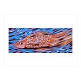 Little fish (Print Only) thumbnail