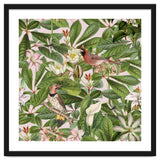 Tropical Bird Garden thumbnail