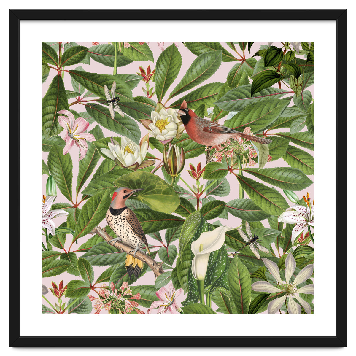 Tropical Bird Garden