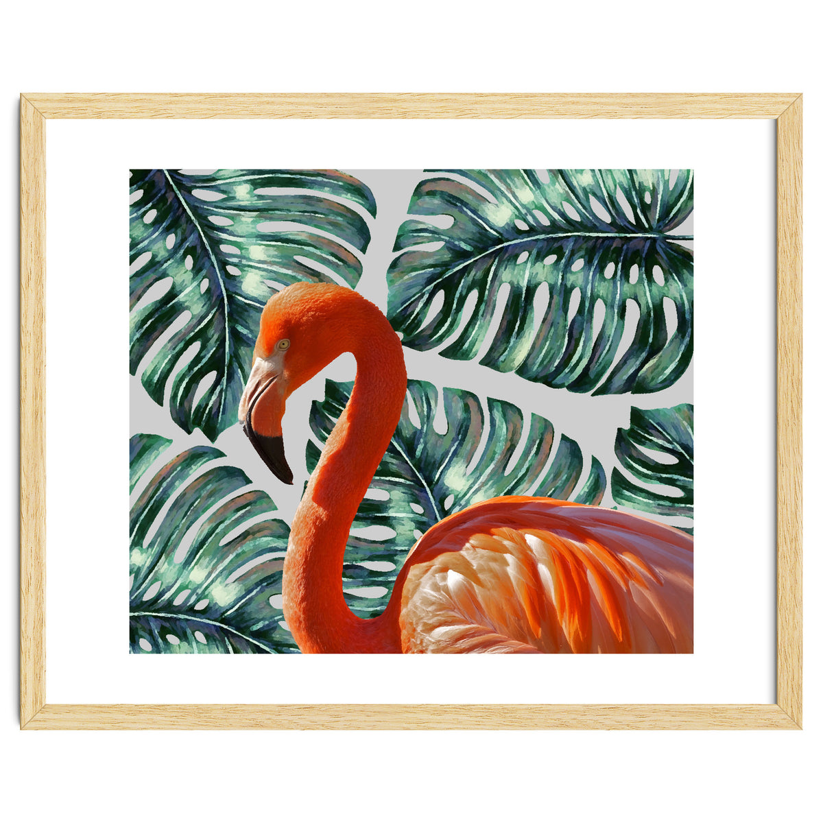 Flamingo Self Portrait