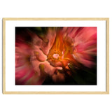 Backyard Flowers No 40 Color Flow Version thumbnail