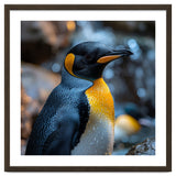 King Penguin Close Up Portrait Nature thumbnail