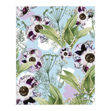 Kaya | Powder Blue Pastel Snowy | Vintage Botanical Floral Boho Garden | Spring Blossom (Print Only) thumbnail