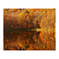 Autumn Reflections (Print Only)