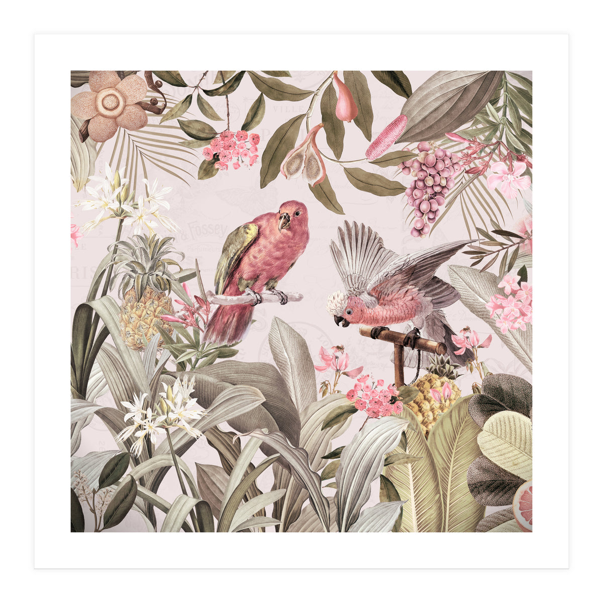 Colorful Parrots In Flower And Fruit Tropical Jungle (Print Only)
