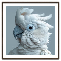 White Cockatoo Bird Portrait Close Up