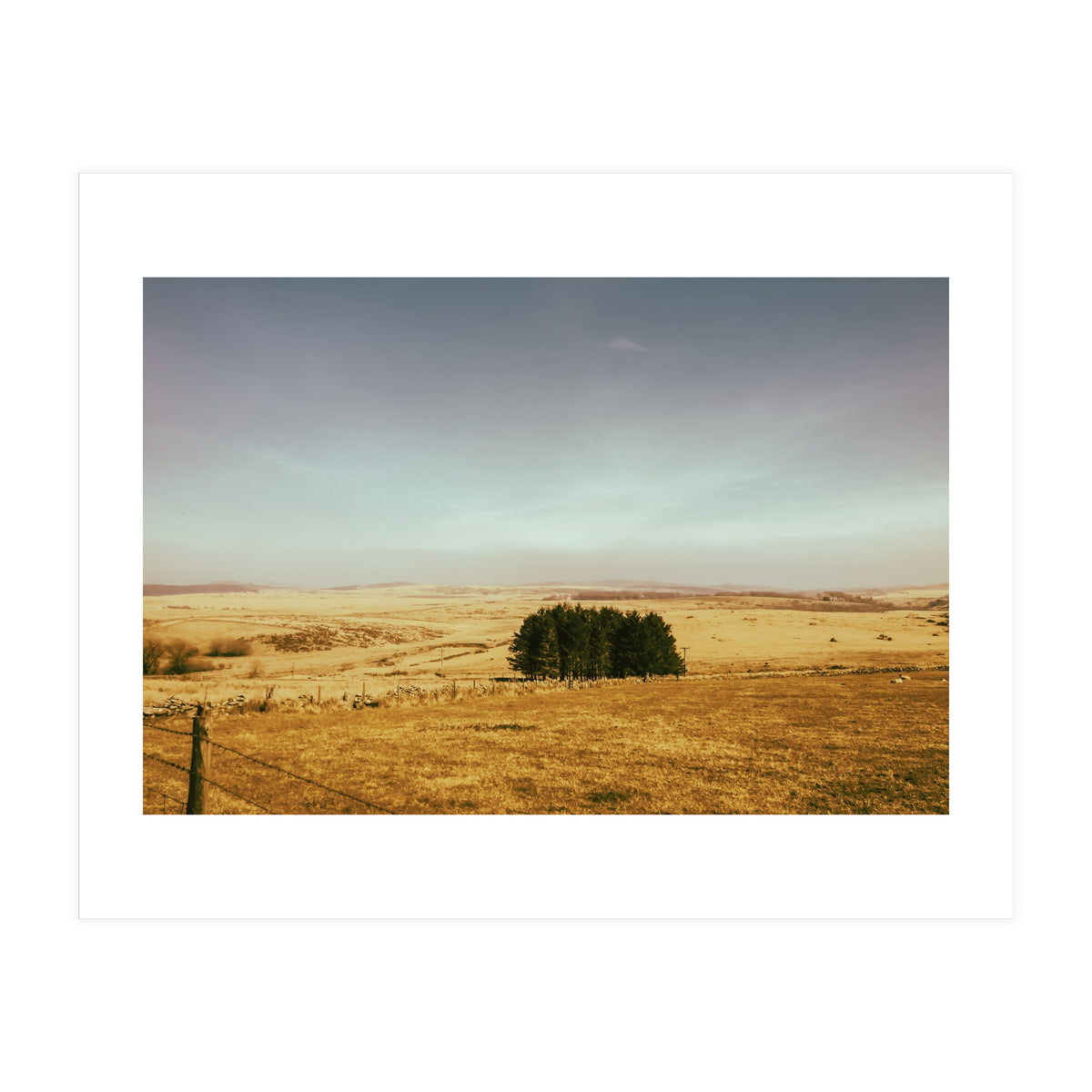 Dartmoor 2018 (Print Only)
