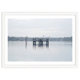 Birds rest in the Lake thumbnail