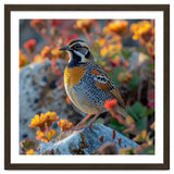 Bird Perched On A Rock With Flowers thumbnail