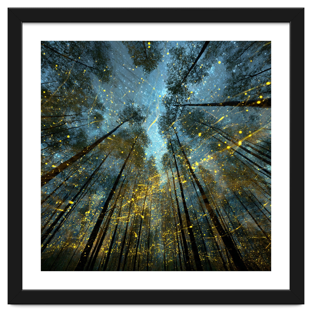 Enchanted Night Forest with Glowing Fireflies