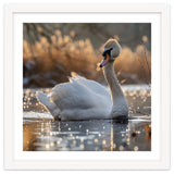 Majestic Swan On Calm Water During Sunset Nature Scene thumbnail