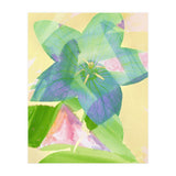 A Peaceful World (Print Only) thumbnail
