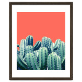 Cactus On Coral thumbnail