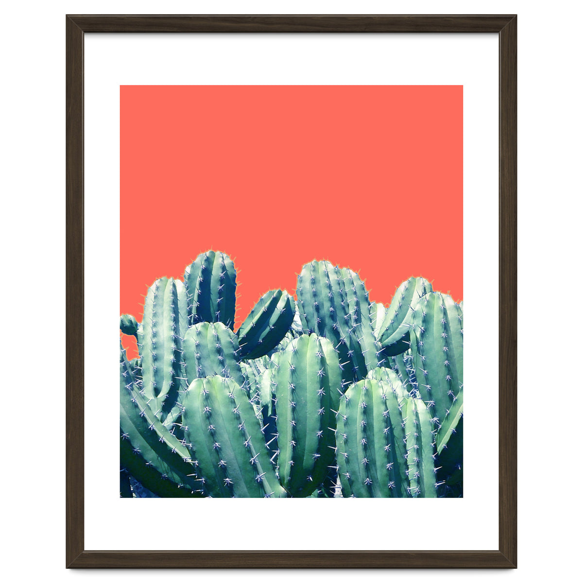Cactus On Coral