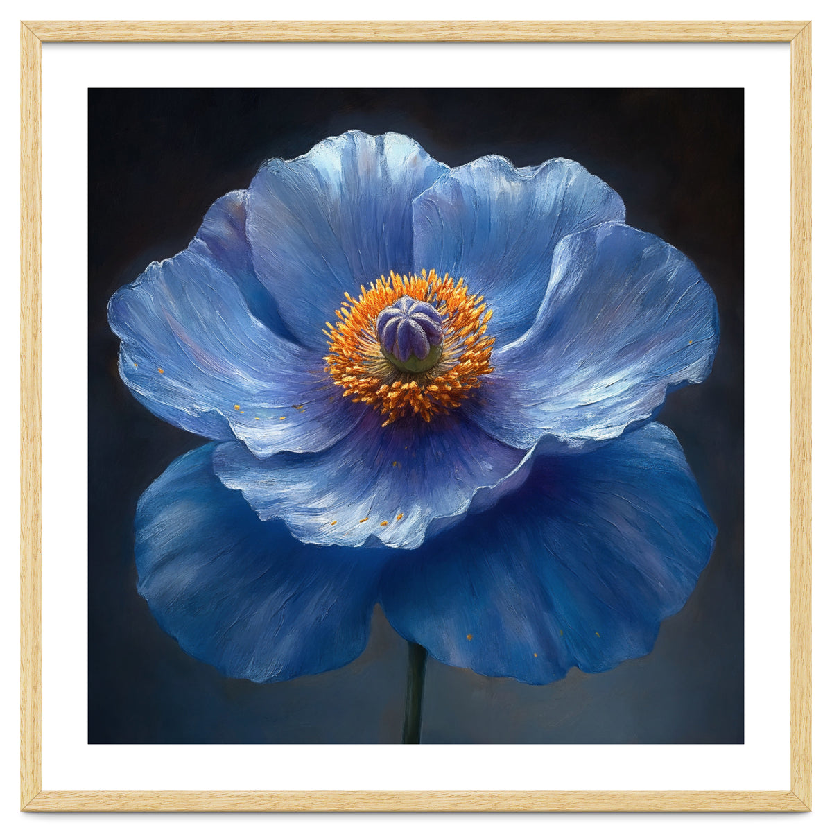 Meconopsis | Sapphire Serenade